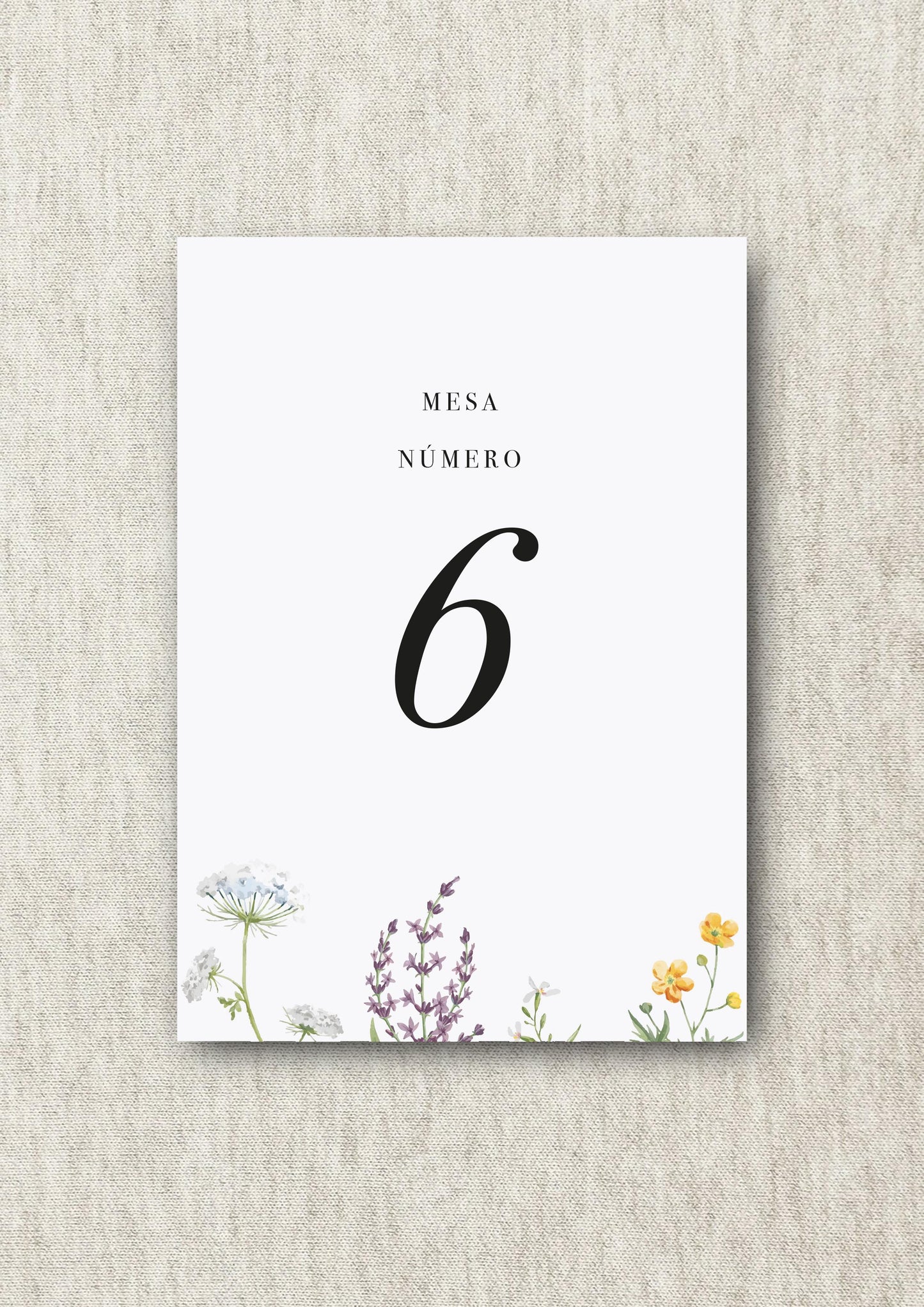 Seating Plan & Mesero