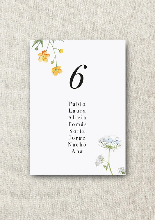 Seating Plan & Mesero