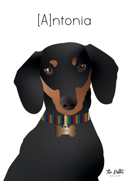 Retrato Mascota